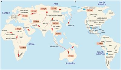 Personalized medicine and nutrition in hepatology for preventing chronic liver disease in Mexico